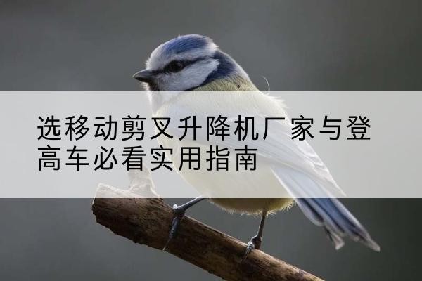 南皮电动升降机厂家-选移动剪叉升降机厂家与登高车必看实用指南