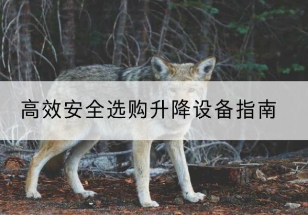 南皮升降货梯厂家推荐-*安全选购升降设备指南